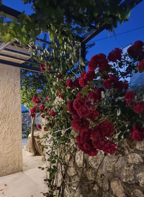 Villa Aiolia Kondoyenadha Luaran gambar